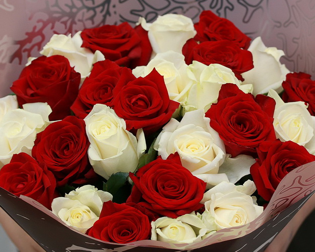 Букет із 25 троянд червоних і білих в упакуванні
