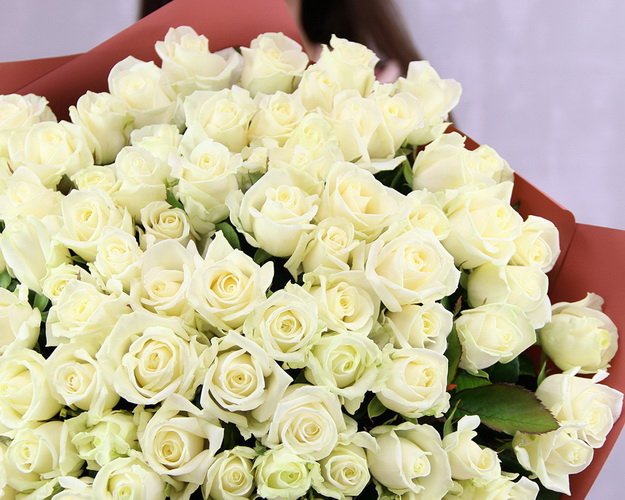 Букет із 101 троянди Моніка