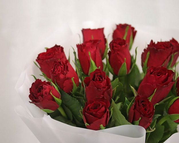 Букет із 15 троянд червоних в упакуванні
