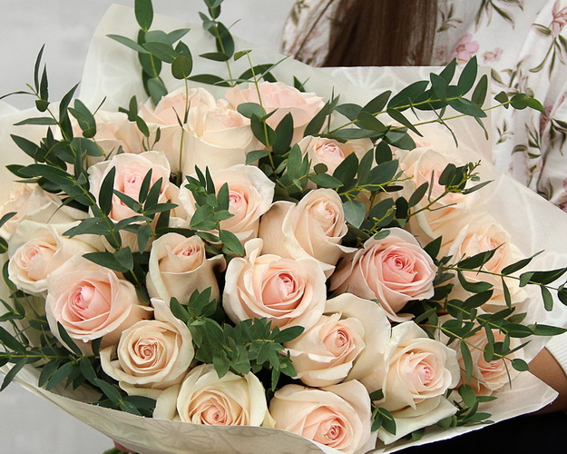Букет із 25 троянд пудрового кольору з евкаліптом в упакуванні