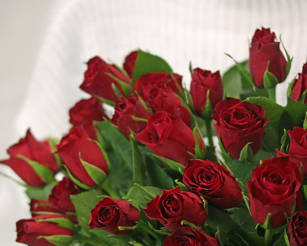 Букет із 51 червоної троянди під стрічку