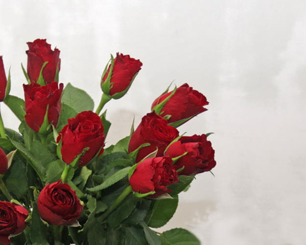 Букет із 15 червоних троянд під стрічку