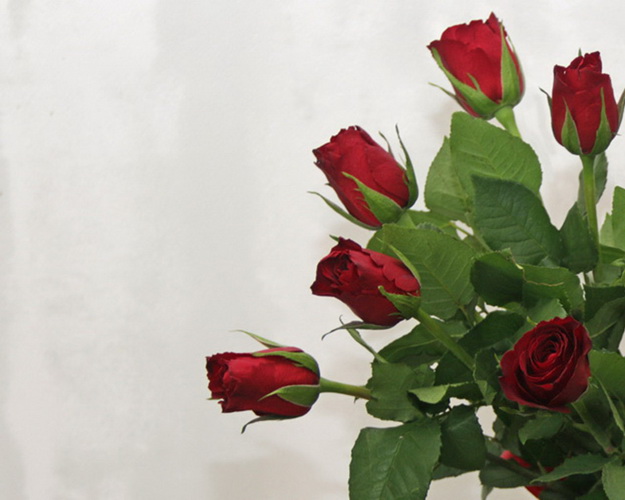 Букет із 11 червоних троянд під стрічку