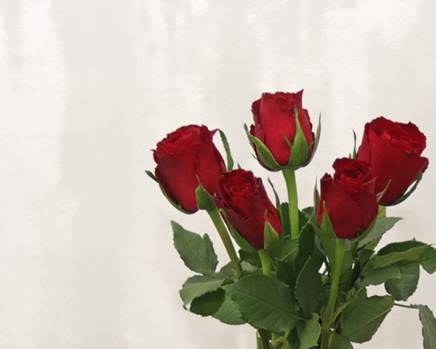 Букет 5 червоних троянд під стрічку