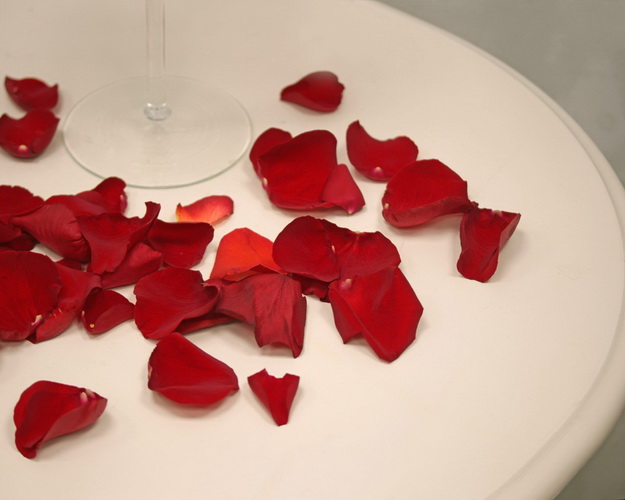 Яскраво-бордові Пелюстки троянд