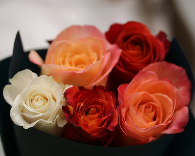 Букет із 5 троянд яскравий мікс в упакуванні