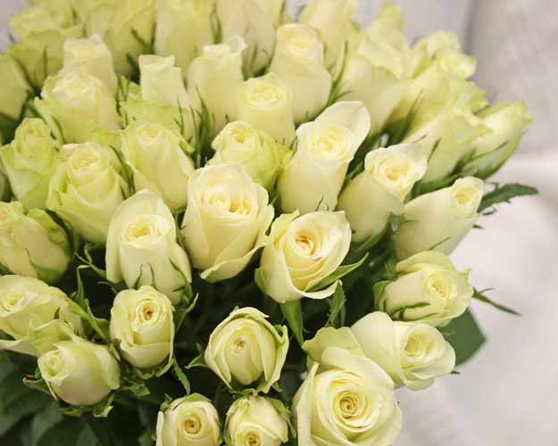 Букет із 51 білої троянди під стрічку