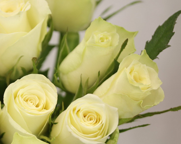 Букет із 9 білих троянд під стрічку