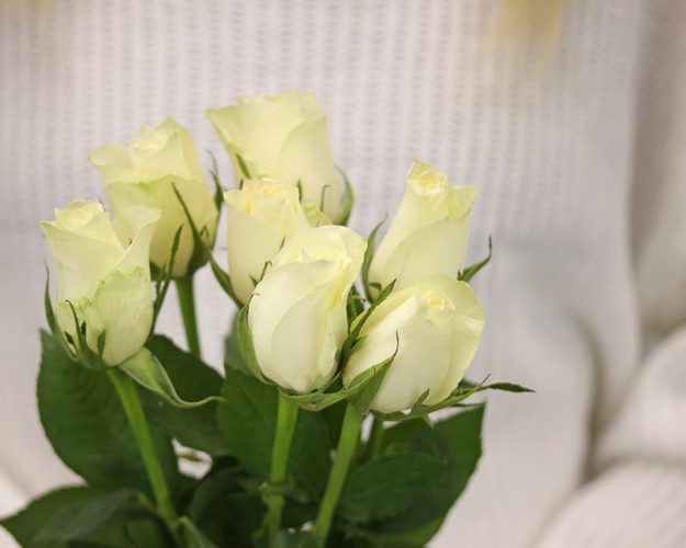 Букет із 7 білих троянд під стрічку