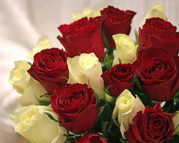 Букет з 25 троянд мікс білих та червоних під стрічку