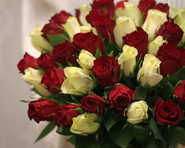 Букет із 51 червоної та білої троянди мікс під стрічку