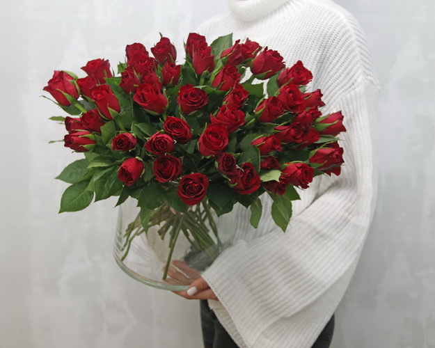 Троянда червона