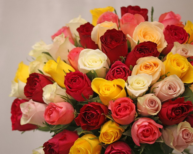 Букет із 51 троянди яскравий мікс під атласну стрічку