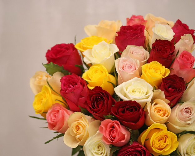 Букет із 35 троянд яскравий мікс під стрічку