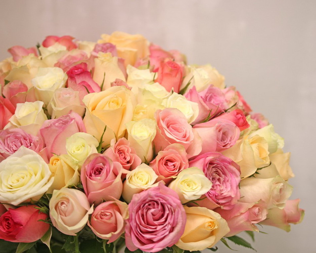 Троянда ніжний мікс