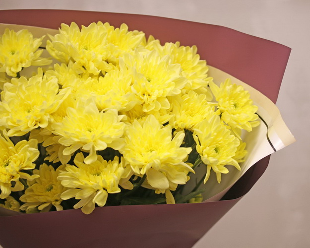 Букет із 5 жовтих кущових хризантем у стильній упаковці.
