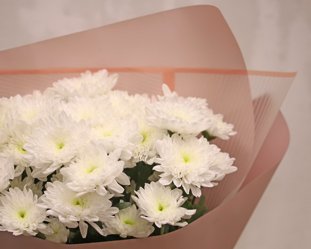 Букет із 5 білих кущових хризантем у стильній упаковці.