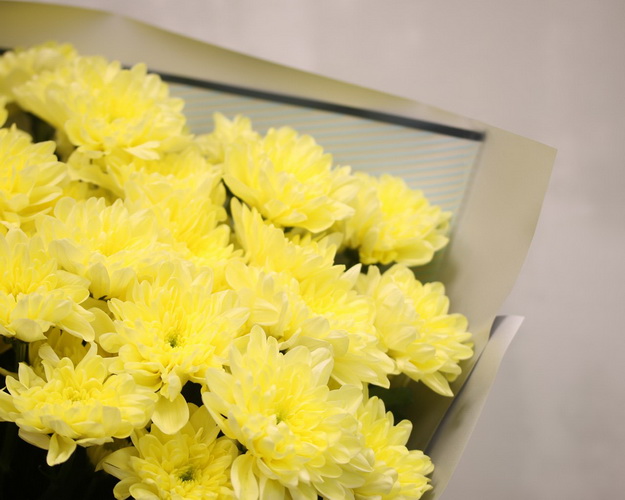 Букет із 15 жовтих кущових хризантем у стильній упаковці.