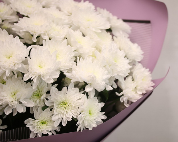 Букет із 15 білих кущових хризантем у стильній упаковці.