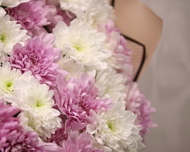 Букет з 29 хризантем кущових ніжний мікс в стильній упаковці.