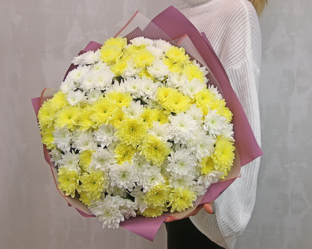 Букет з 25 хризантем кущових мікс в стильній упаковці.