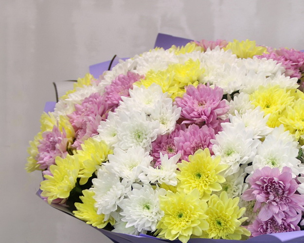 Букет з 39 хризантем кущових мікс в стильній упаковці.