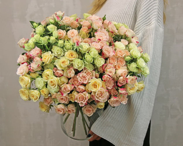 Троянда кущова ніжний мікс