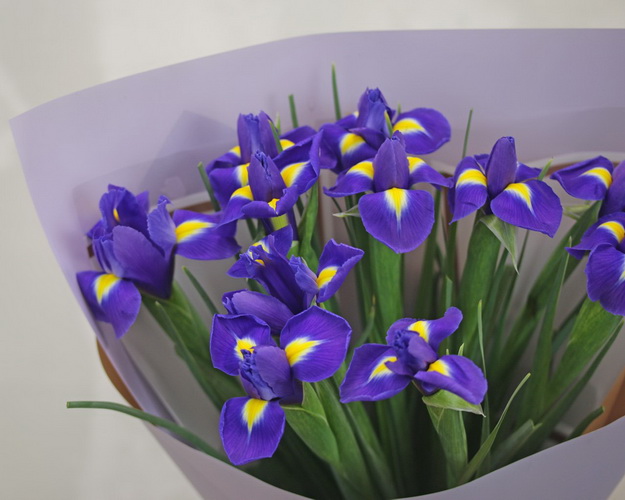 Букет з 9 ірисів у дизайнерській упаковці