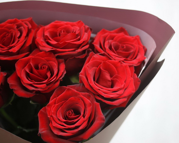 Букет із 7 червоних імпортних троянд в упакуванні