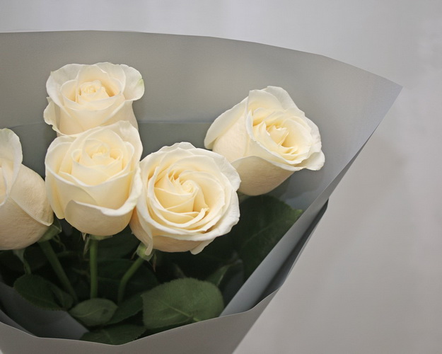 Букет 5 білих троянд в упакуванні