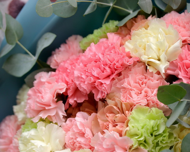 Букет з 35 діантусів мікс із зеленню в дизайнерській упаковці