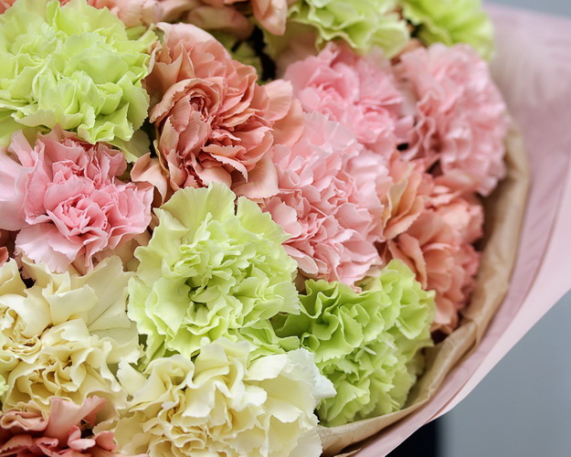 Букет з 51 діантусу мікс стильній упаковці