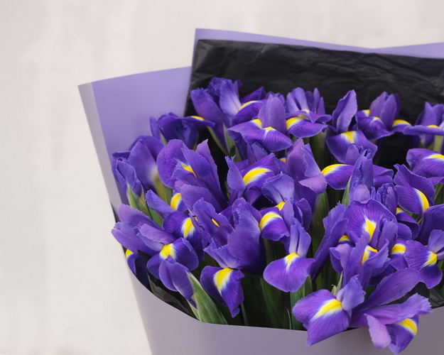 Букет із 35 синіх ірисів у стильній упаковці.