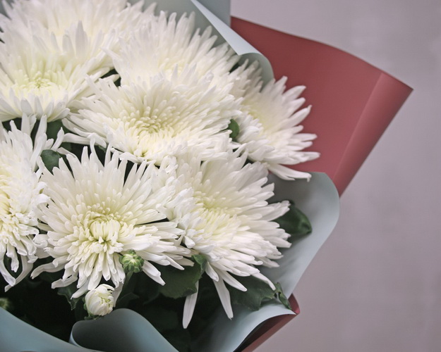 Букет з 11 хризантем білих в стильній упаковці.