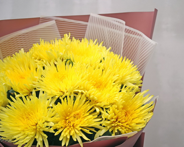 Букет із 11 жовтих хризантем в стильній упаковці.