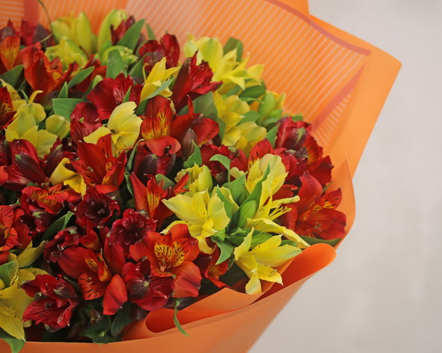 Букет із 21 альстромерії яскравий мікс в упаковці