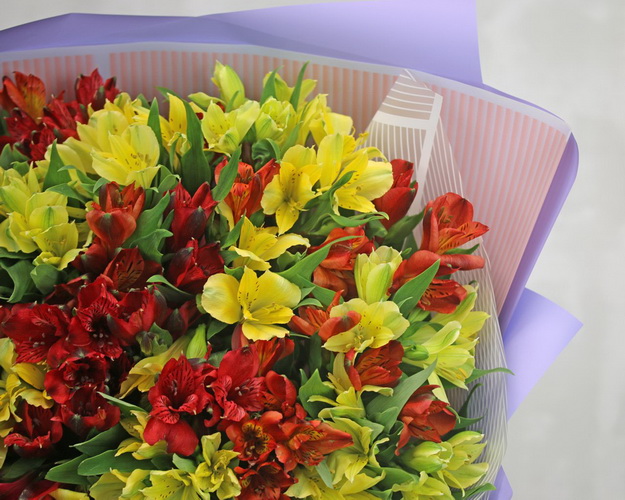 Букет із 35 альстромерій яскравий мікс в упаковці