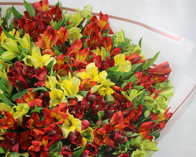 Букет із альстромерій Яскрава поляна