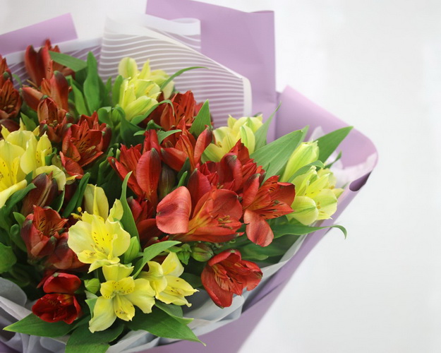 Букет із 11 альстромерій яскравий мікс в упаковці