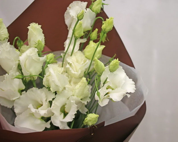 Букет із 5 білих еустом у стильній упаковці.