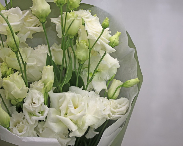 Букет із 7 білих еустом у стильній упаковці.