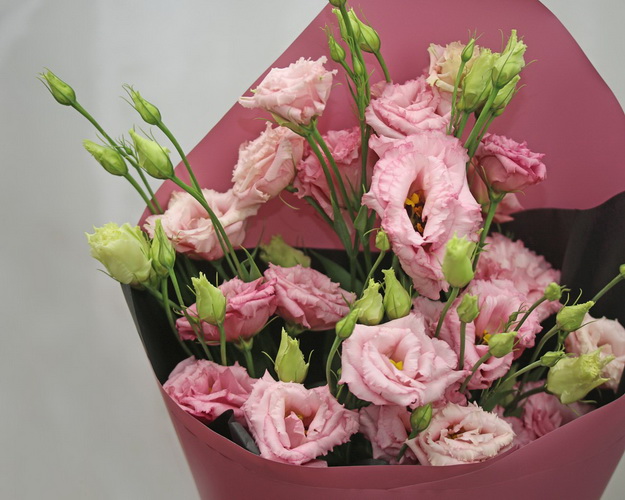 Букет із 7 рожевих еустом у стильній упаковці.