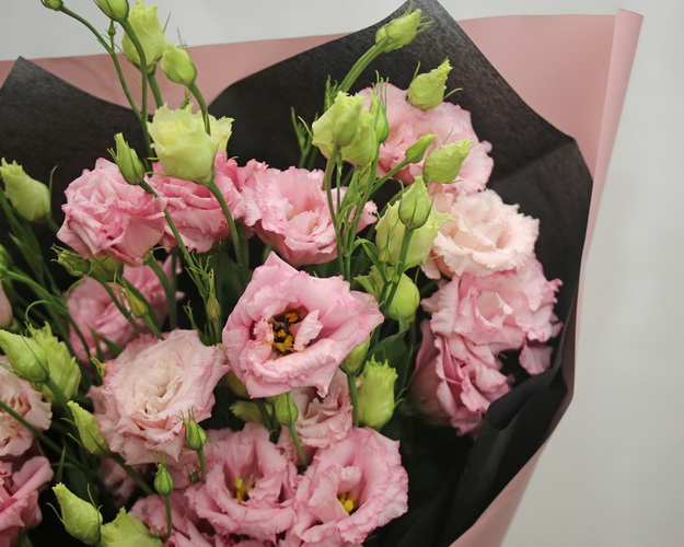 Букет із 9 рожевих еустом у стильній упаковці.