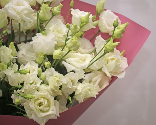 Букет із 15 білих еустом у стильній упаковці.