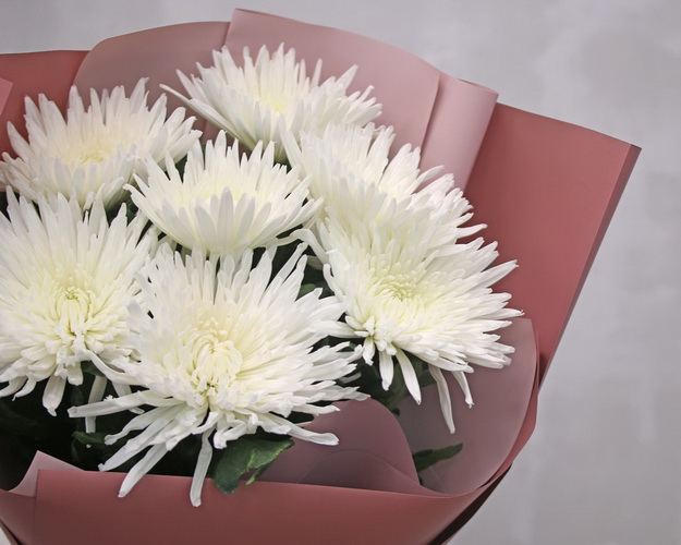 Букет із 7 білих хризантем в стильній упаковці.