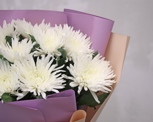 Букет з 9 хризантем білих в стильній упаковці.