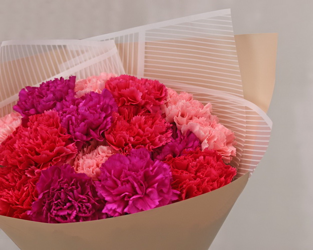 Букет з 15 діантусів яскравий мікс у стильній упаковці