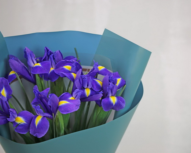 Букет із 7 ірисів у дизайнерській упаковці