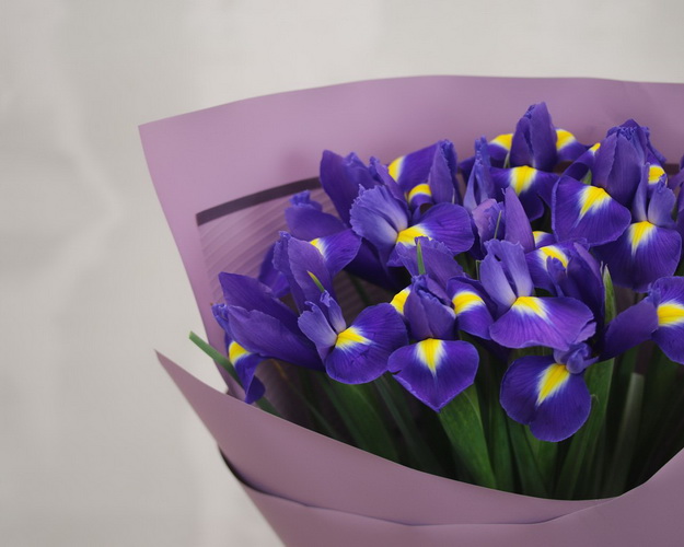 Букет комплімент з 11 ірисів у дизайнерській упаковці