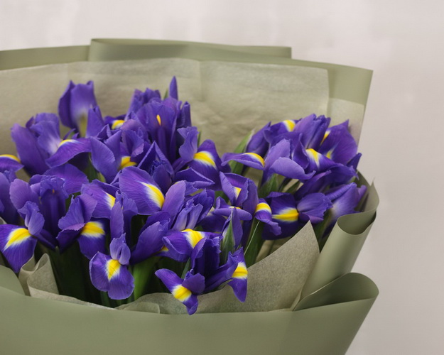 Букет із 25 синіх ірисів у стильній упаковці.